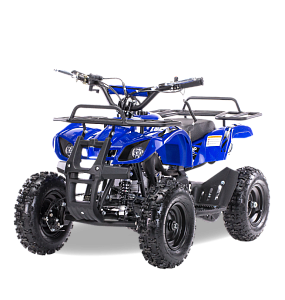 Квадроцикл MOTAX ATV Mini Grizlik Х-16 с Механическим стартером (Синий)